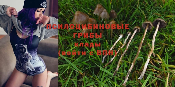 альфа пвп Бугульма