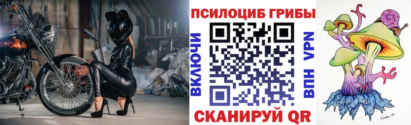 Галлюциногенные грибы MAGIC MUSHROOMS как найти Волжский