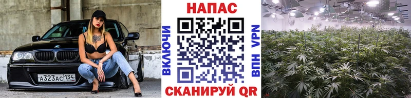 Бошки марихуана индика Волжский